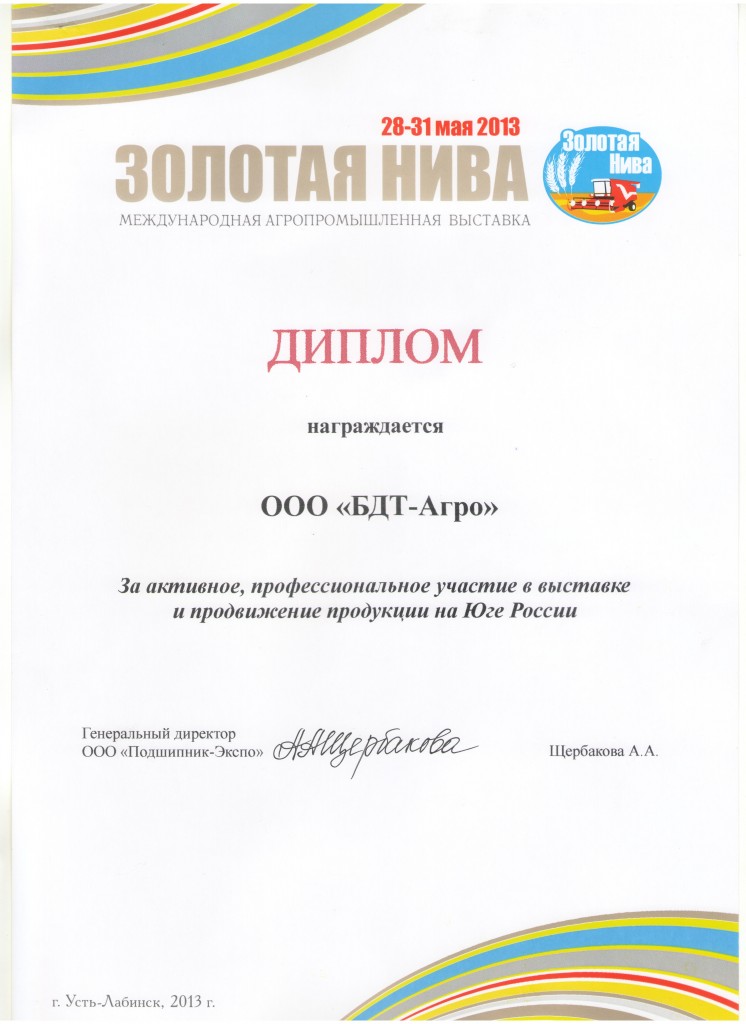ДИПЛОМ май 2013